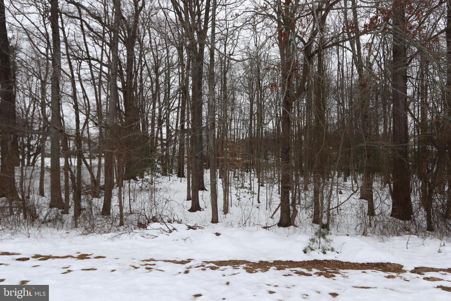 Beech Ln #parcel 27 Property Photo 7