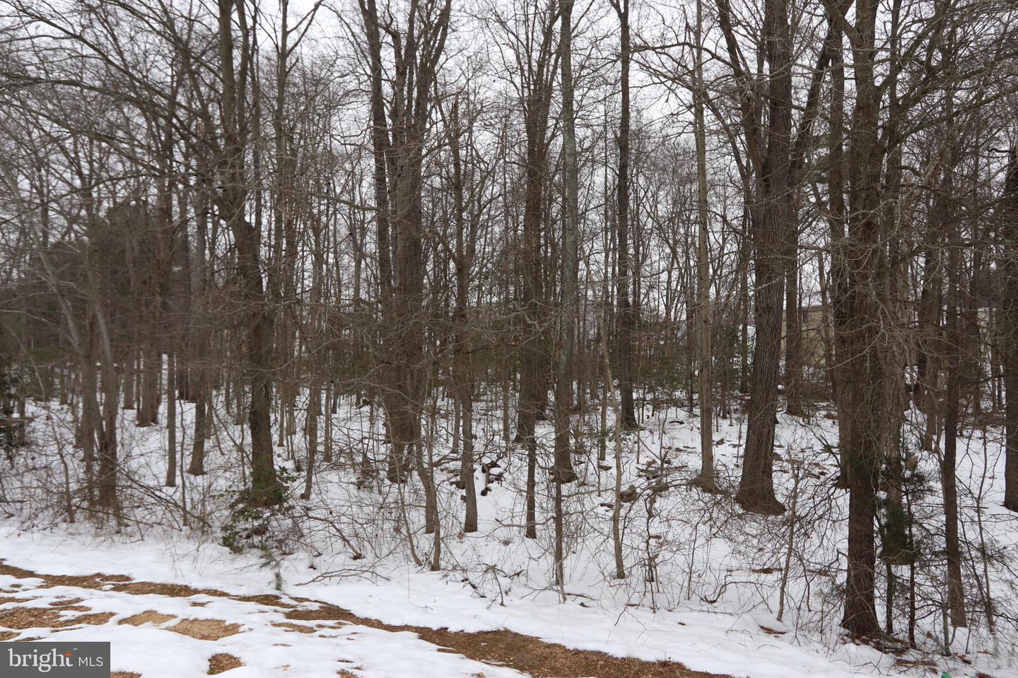 Beech Ln #parcel 27 Property Photo 8