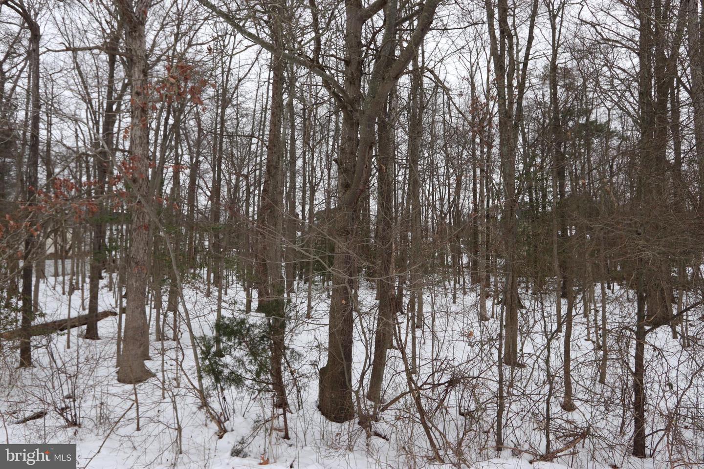 Beech Ln #parcel 27 Property Photo 10