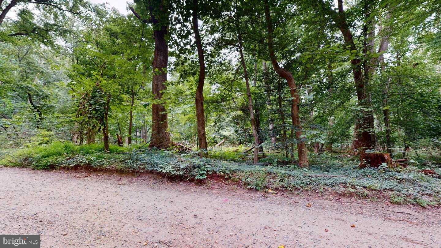 14811 Bonds Retreat Rd Property Photo 2