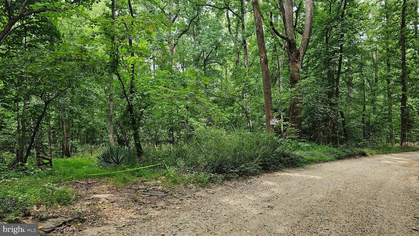 14811 Bonds Retreat Rd Property Photo 3