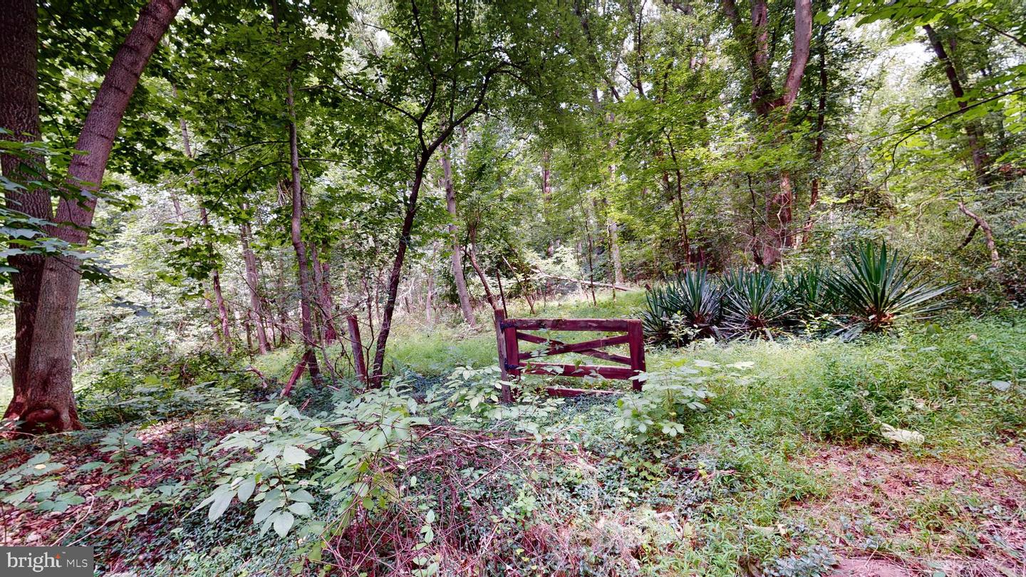 14811 Bonds Retreat Rd Property Photo 5