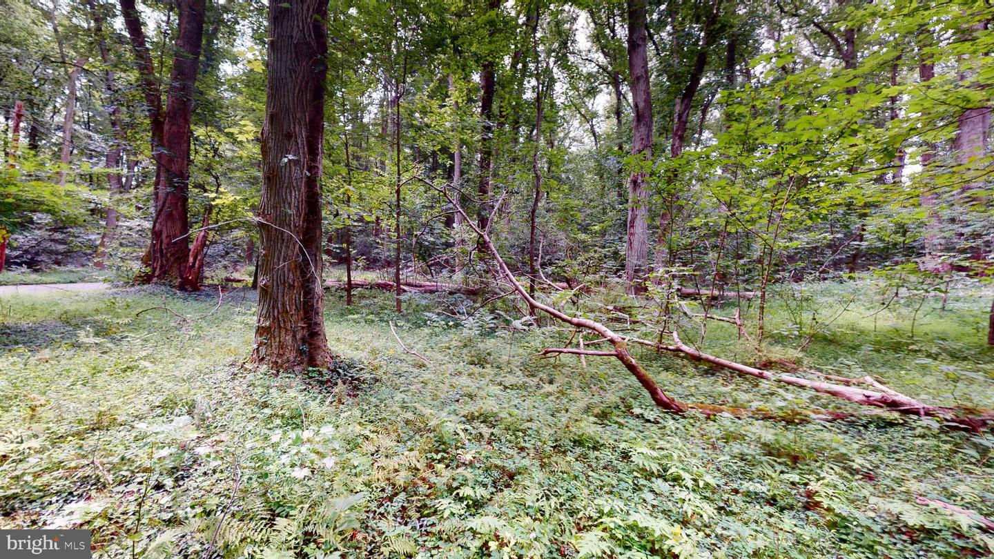 14811 Bonds Retreat Rd Property Photo 6