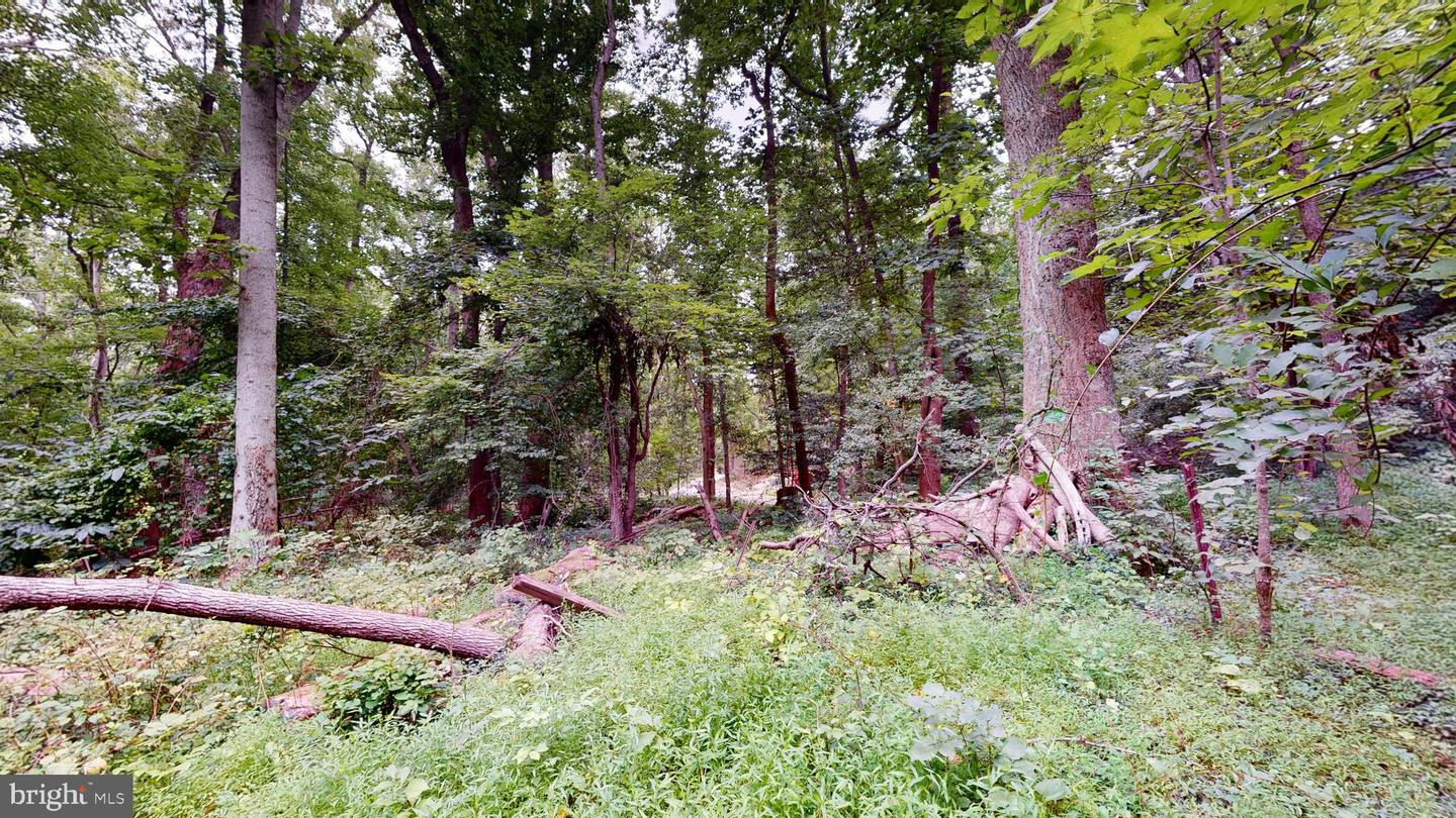 14811 Bonds Retreat Rd Property Photo 7