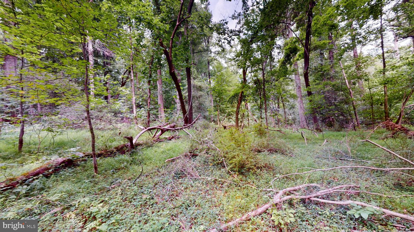 14811 Bonds Retreat Rd Property Photo 8