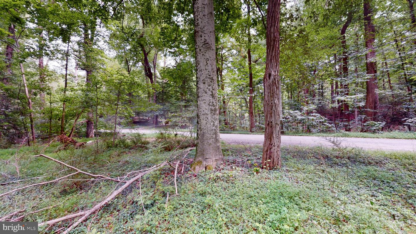 14811 Bonds Retreat Rd Property Photo 9