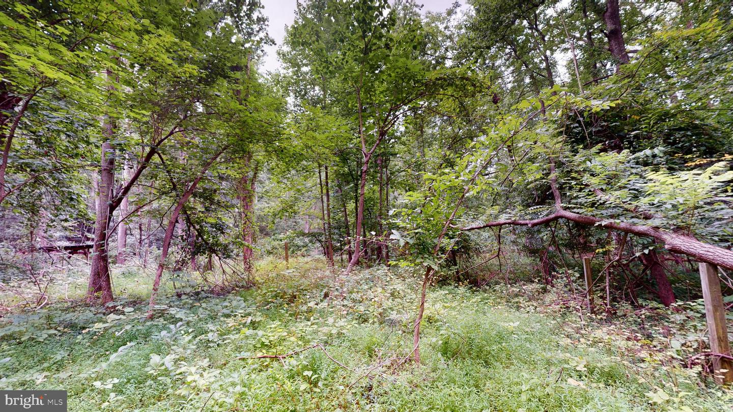 14811 Bonds Retreat Rd Property Photo 10