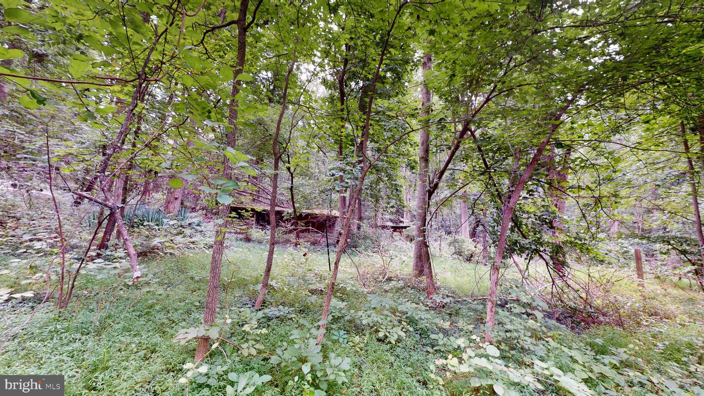14811 Bonds Retreat Rd Property Photo 12