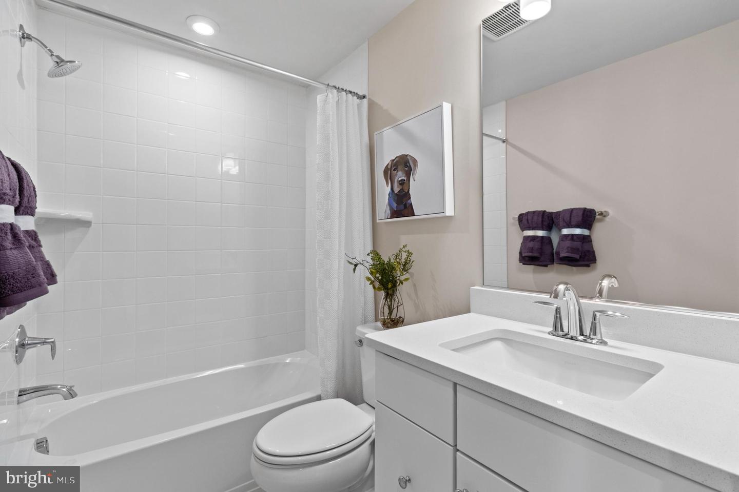 3401 Carnaby St Property Photo 17