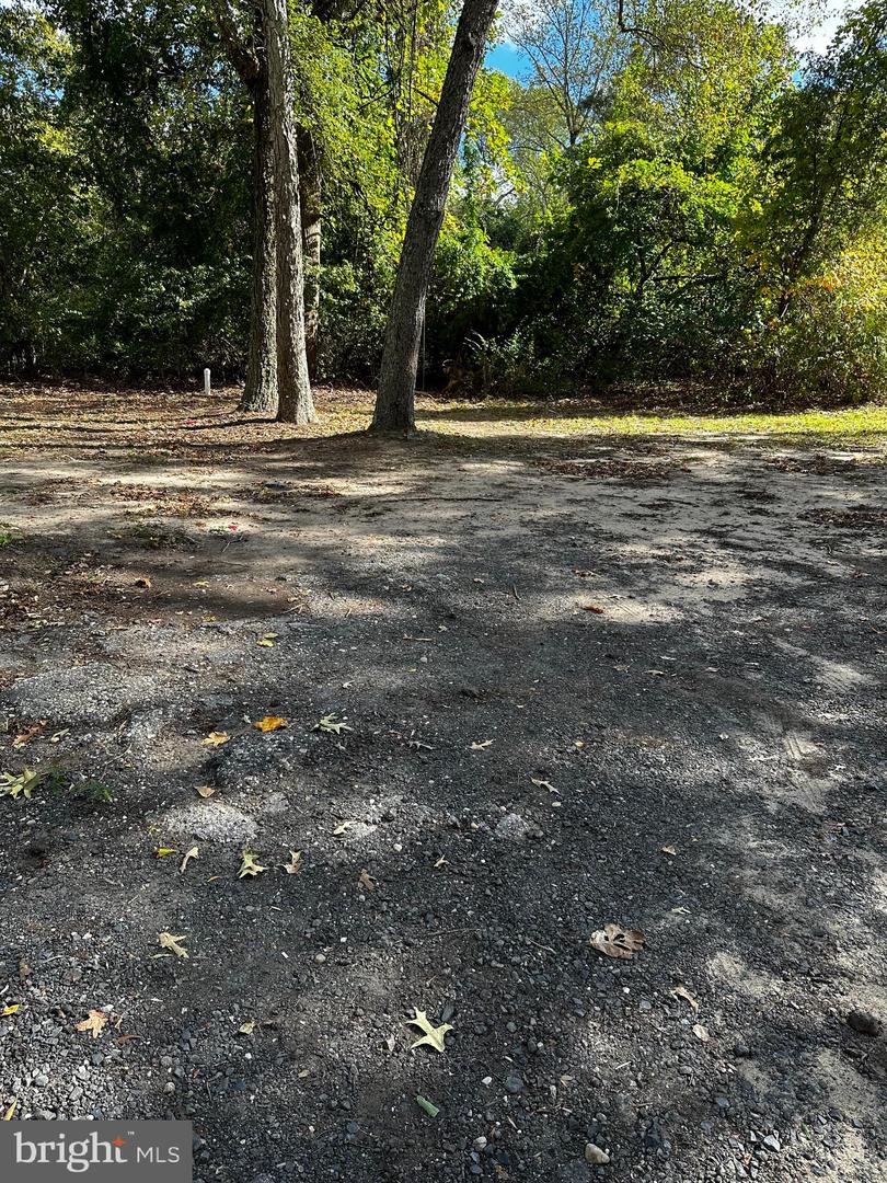 11310 Daisy Ln Property Photo 6