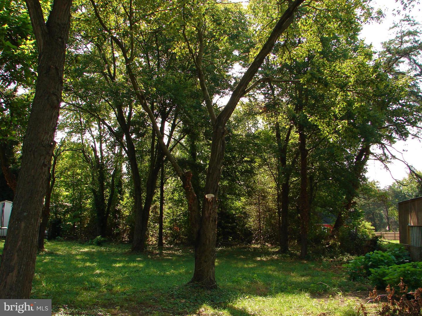 5402 Saint Barnabas Rd Property Photo 3