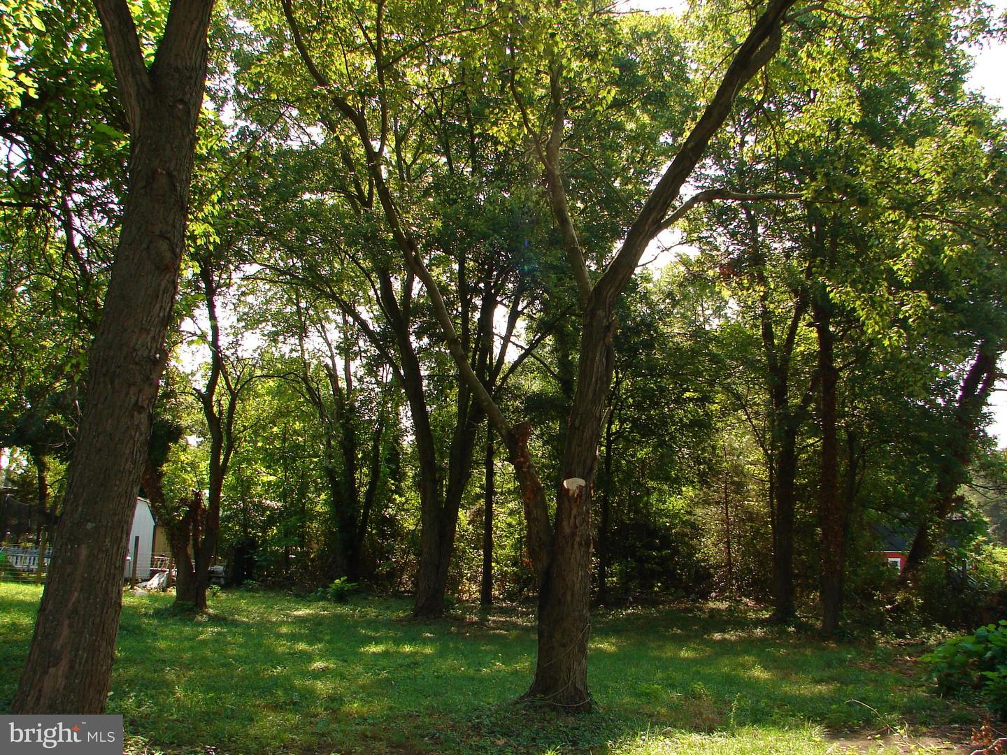5402 Saint Barnabas Rd Property Photo 5