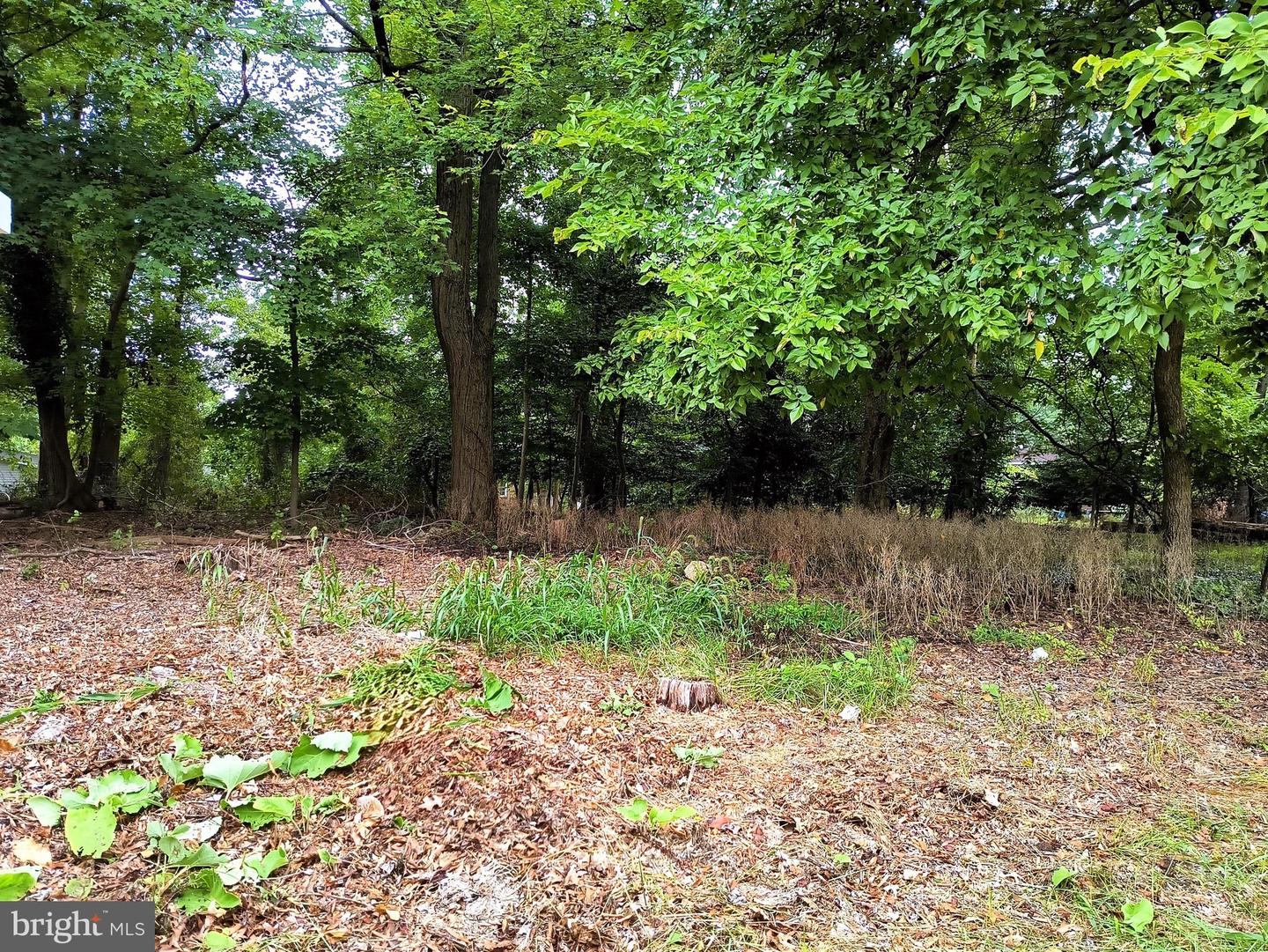 9103 Argonne Trl Property Photo 2