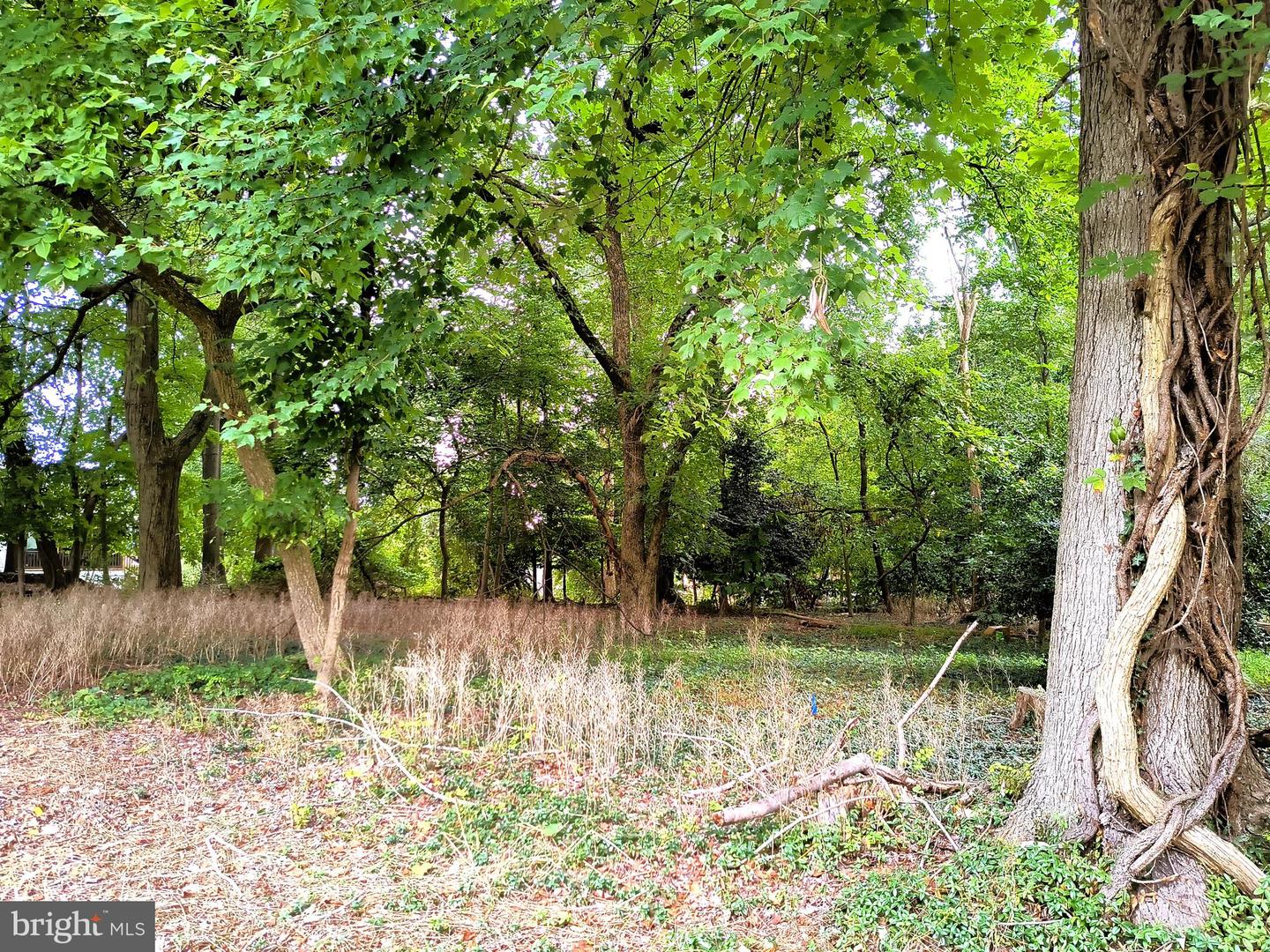 9103 Argonne Trl Property Photo 3