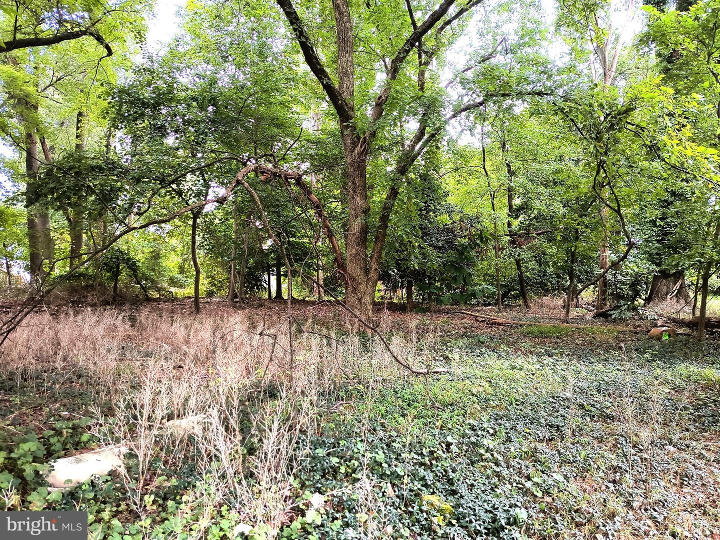 9103 Argonne Trl Property Photo 4