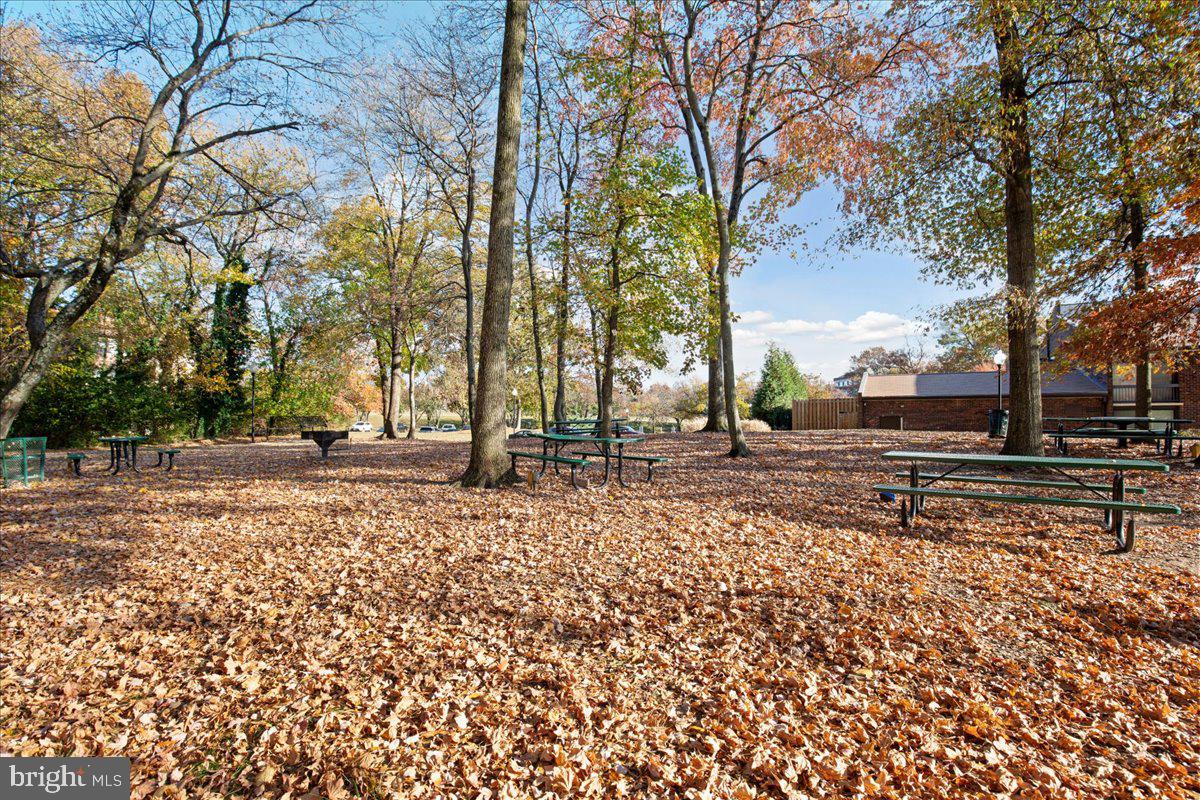 7806 Hanover Pkwy #303 Property Photo 40