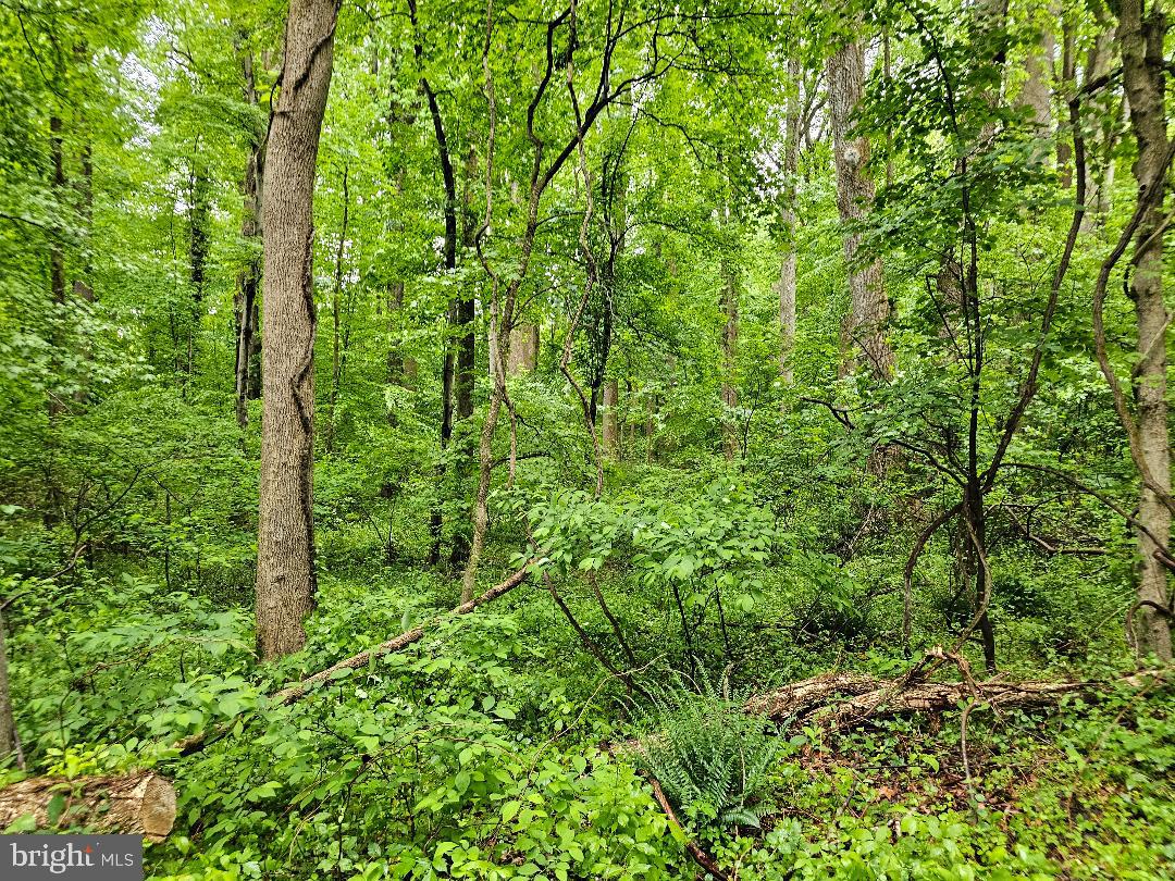 Henry Garnett Ave Property Photo