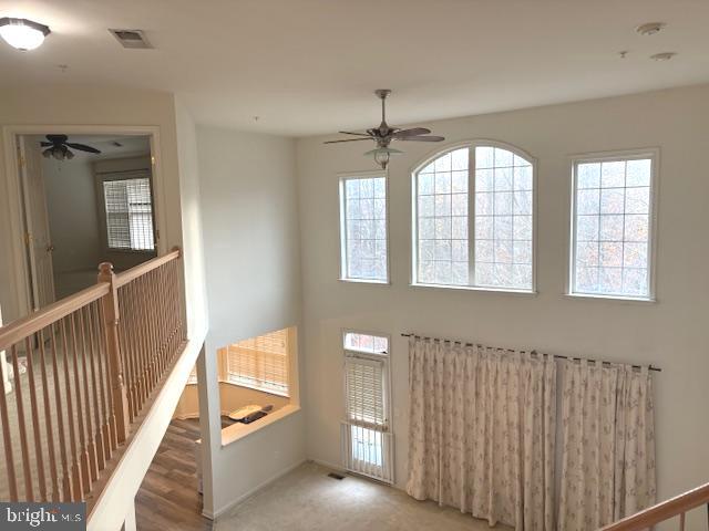 12303 Marleigh Dr Property Photo 20