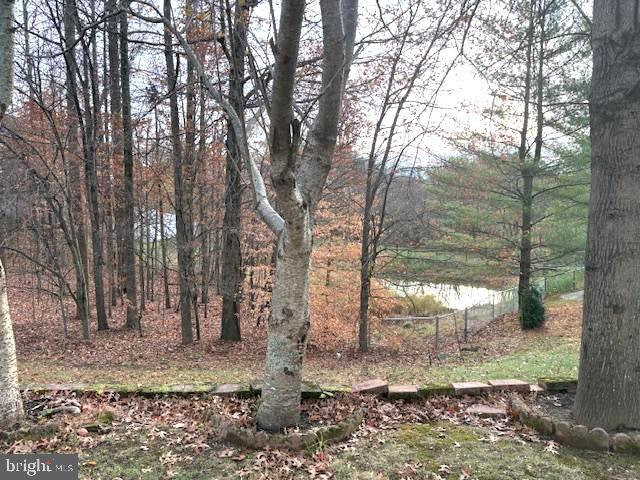12303 Marleigh Dr Property Photo 37