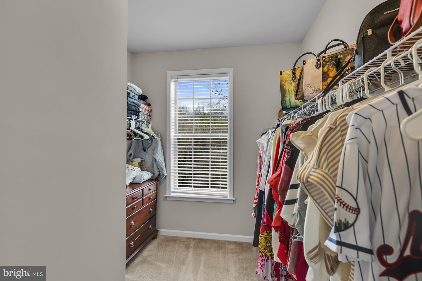 7804 Hubble Dr Property Photo 22