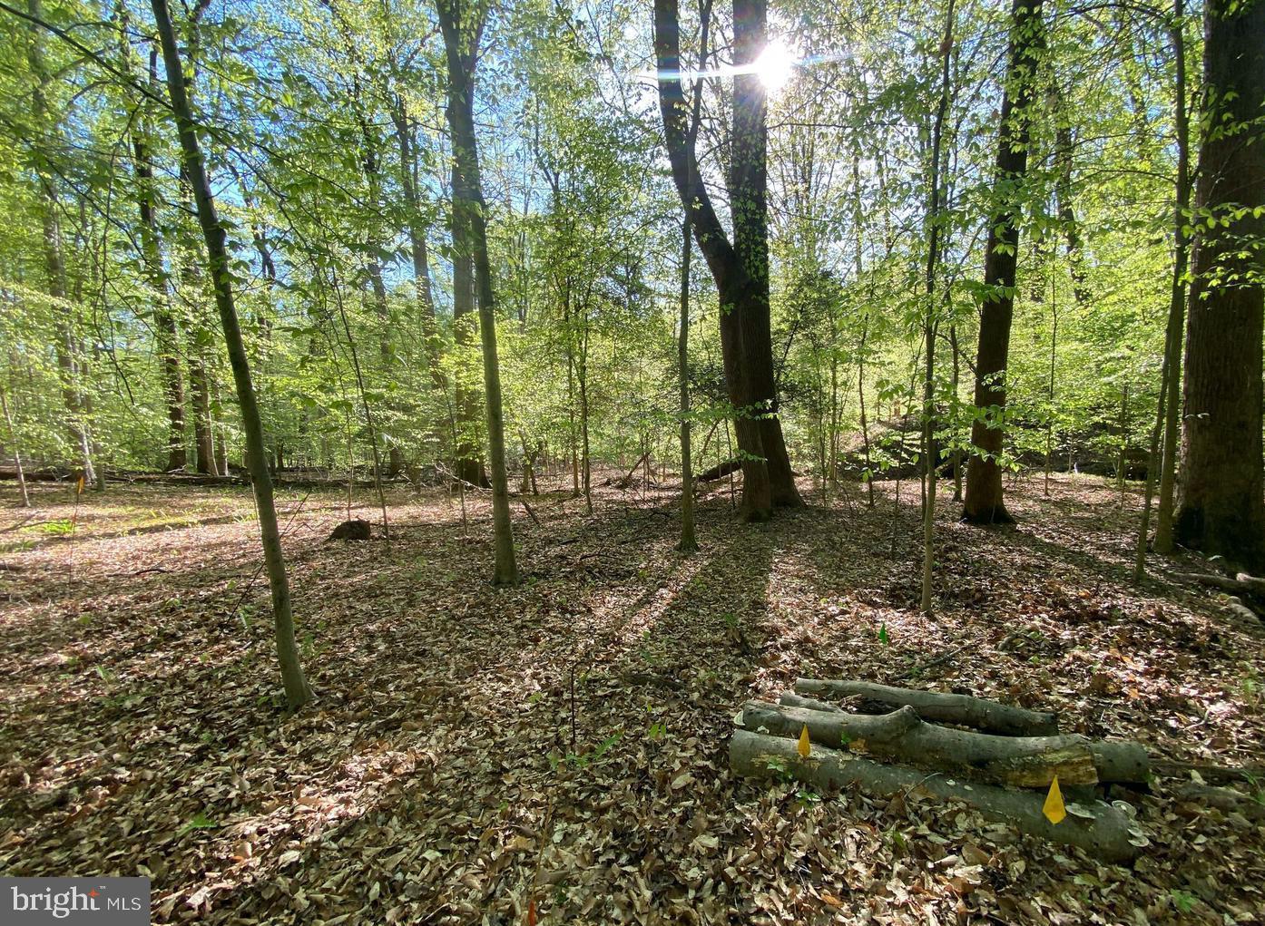 Hidden Valley Rd Property Photo 1
