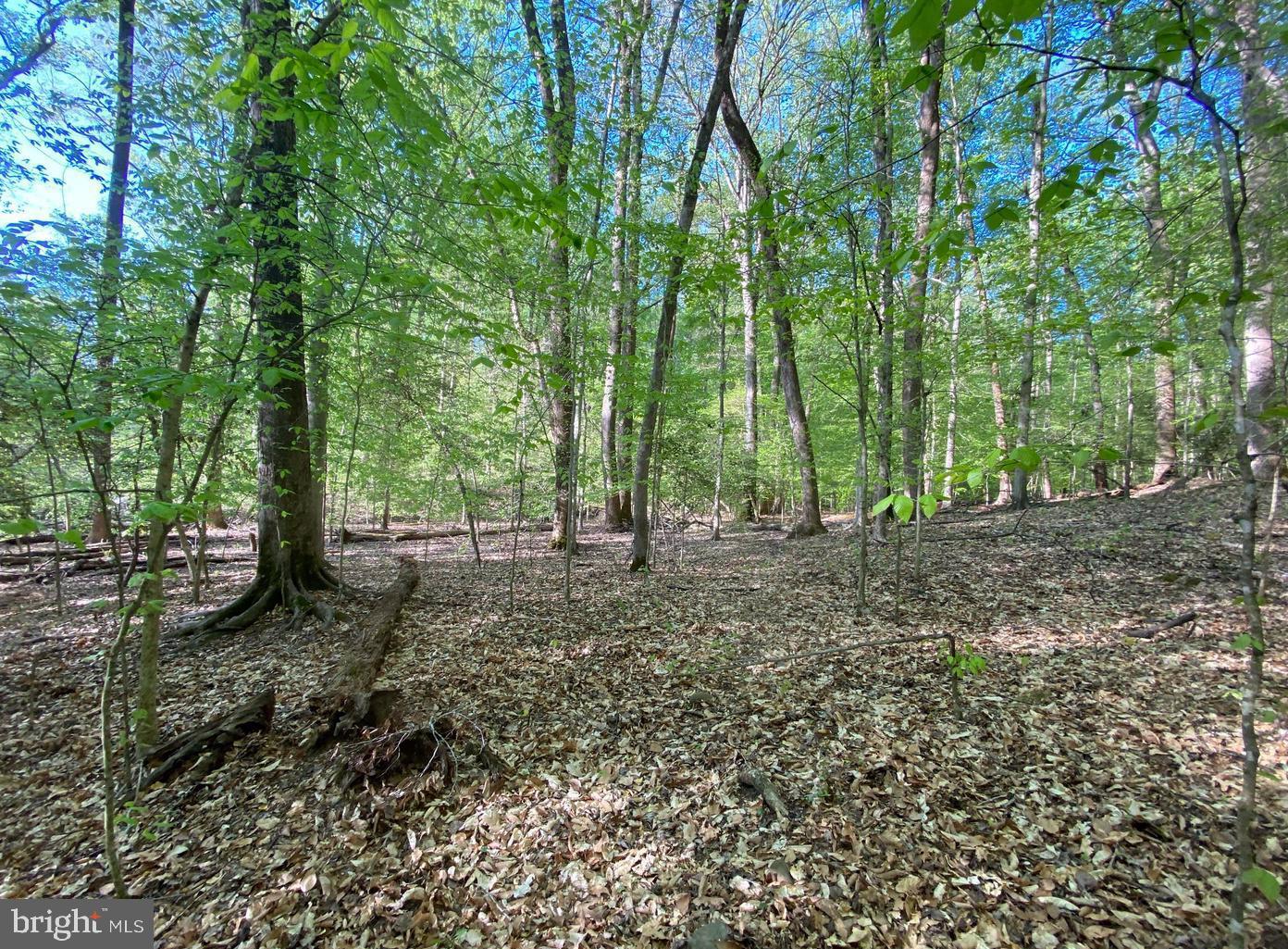 Hidden Valley Rd Property Photo 2