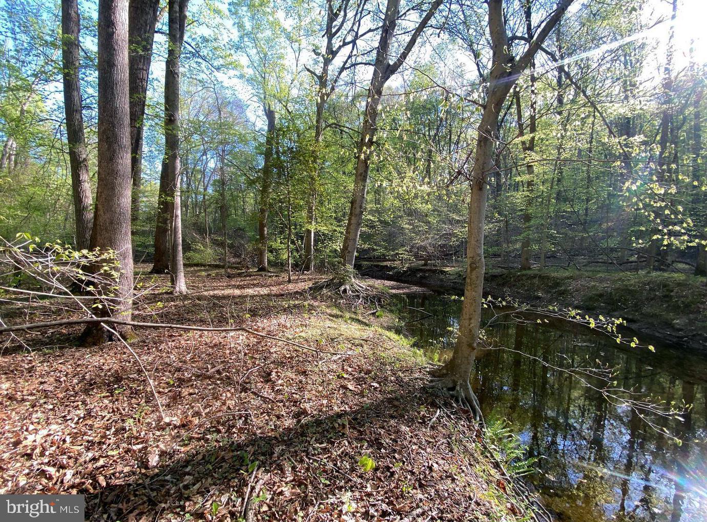 Hidden Valley Rd Property Photo 10