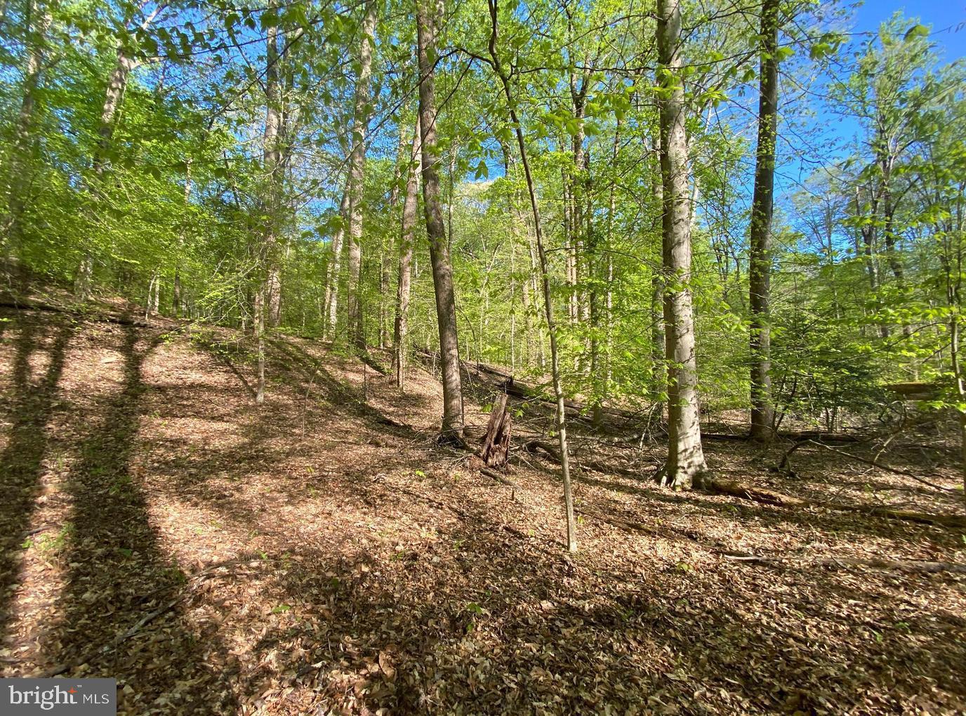 Hidden Valley Rd Property Photo 11