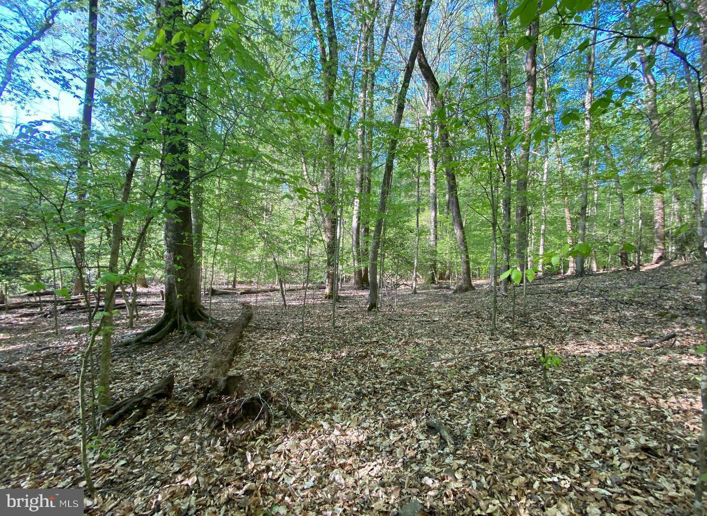 Hidden Valley Rd Property Photo 13