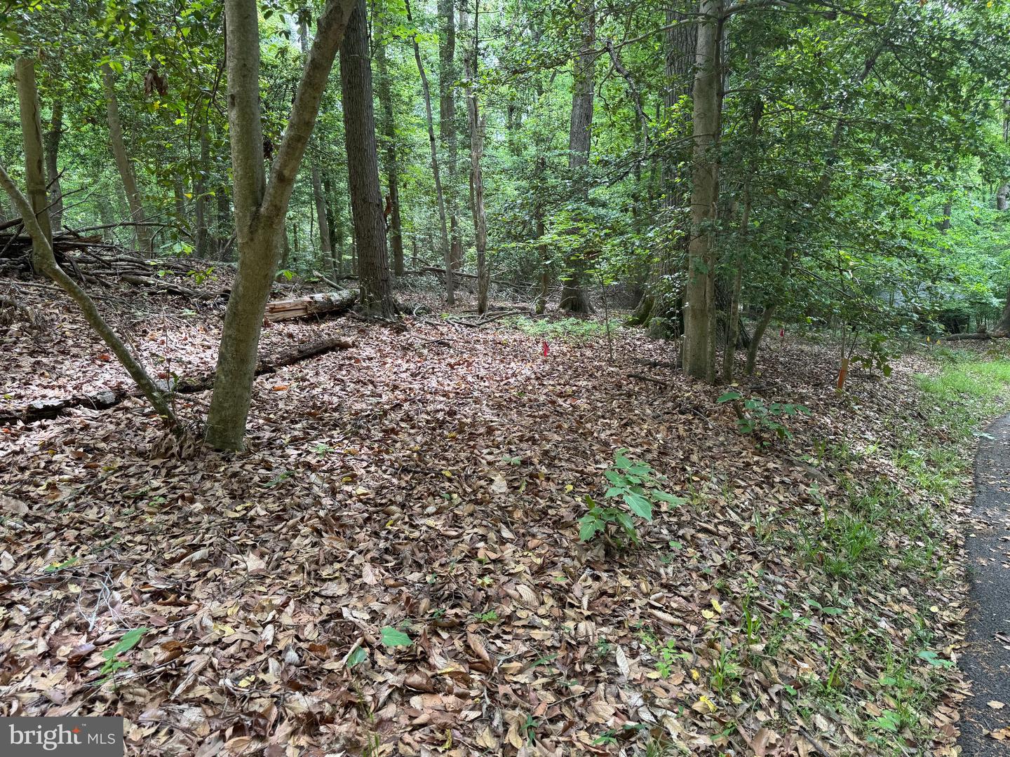 Hidden Valley Rd Property Photo 14