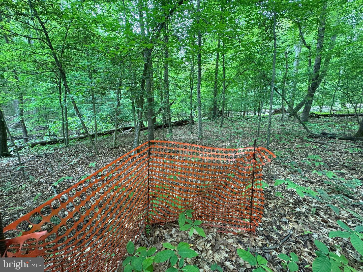 Hidden Valley Rd Property Photo 15