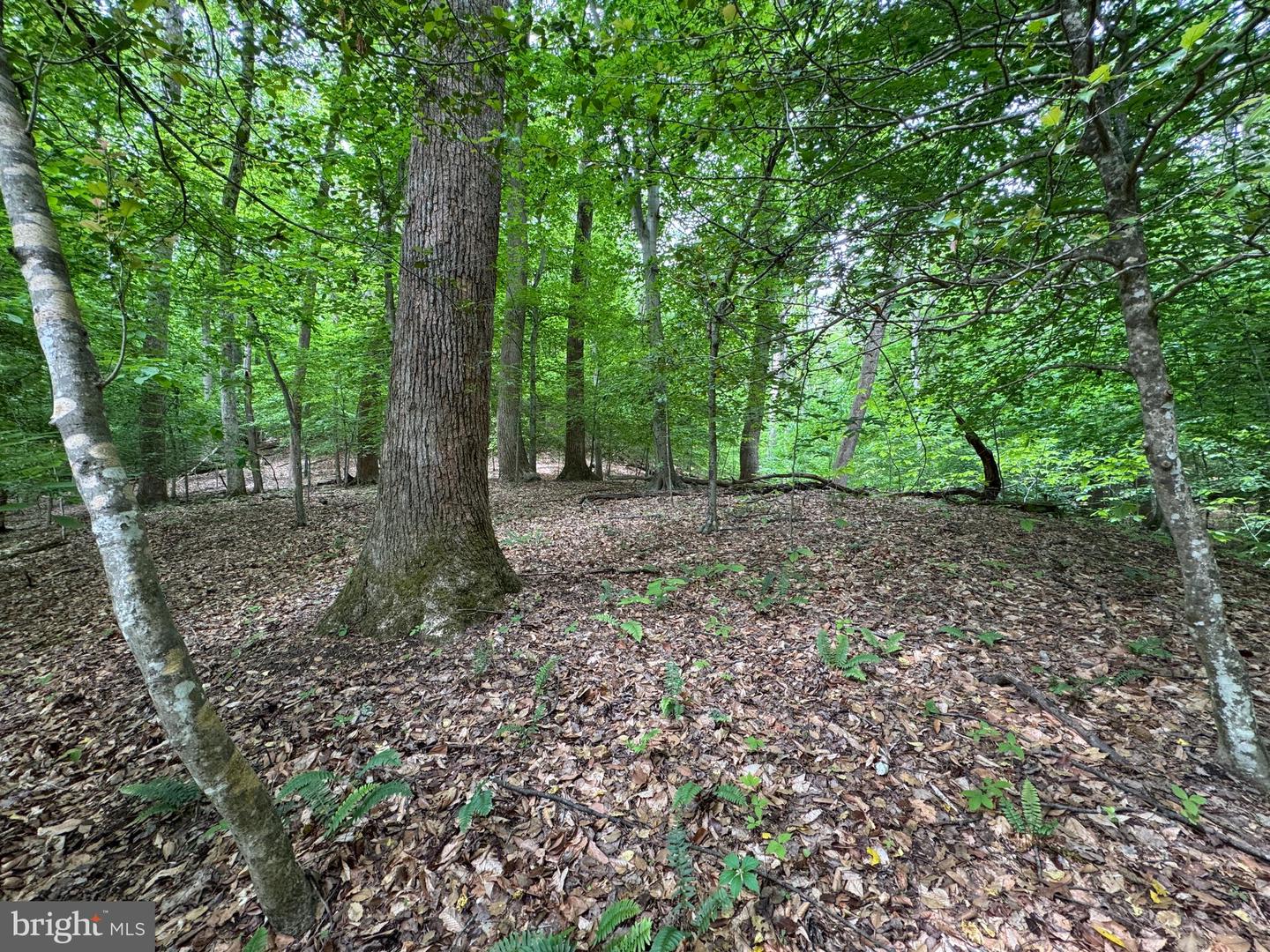 Hidden Valley Rd Property Photo 18