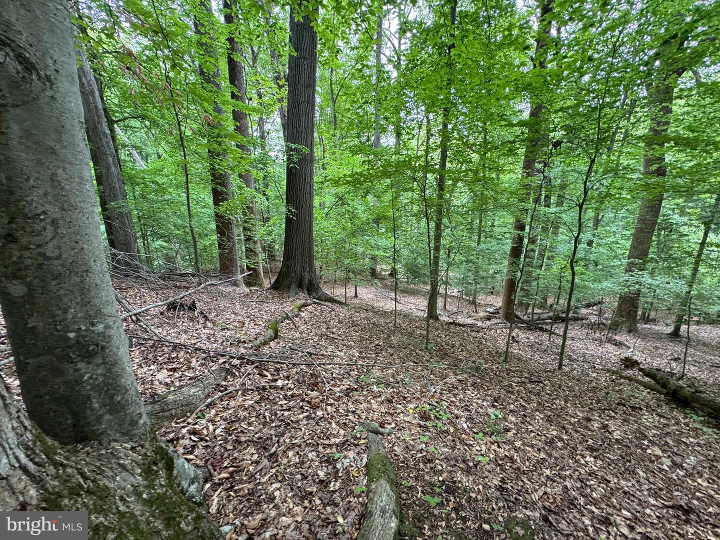 Hidden Valley Rd Property Photo 19