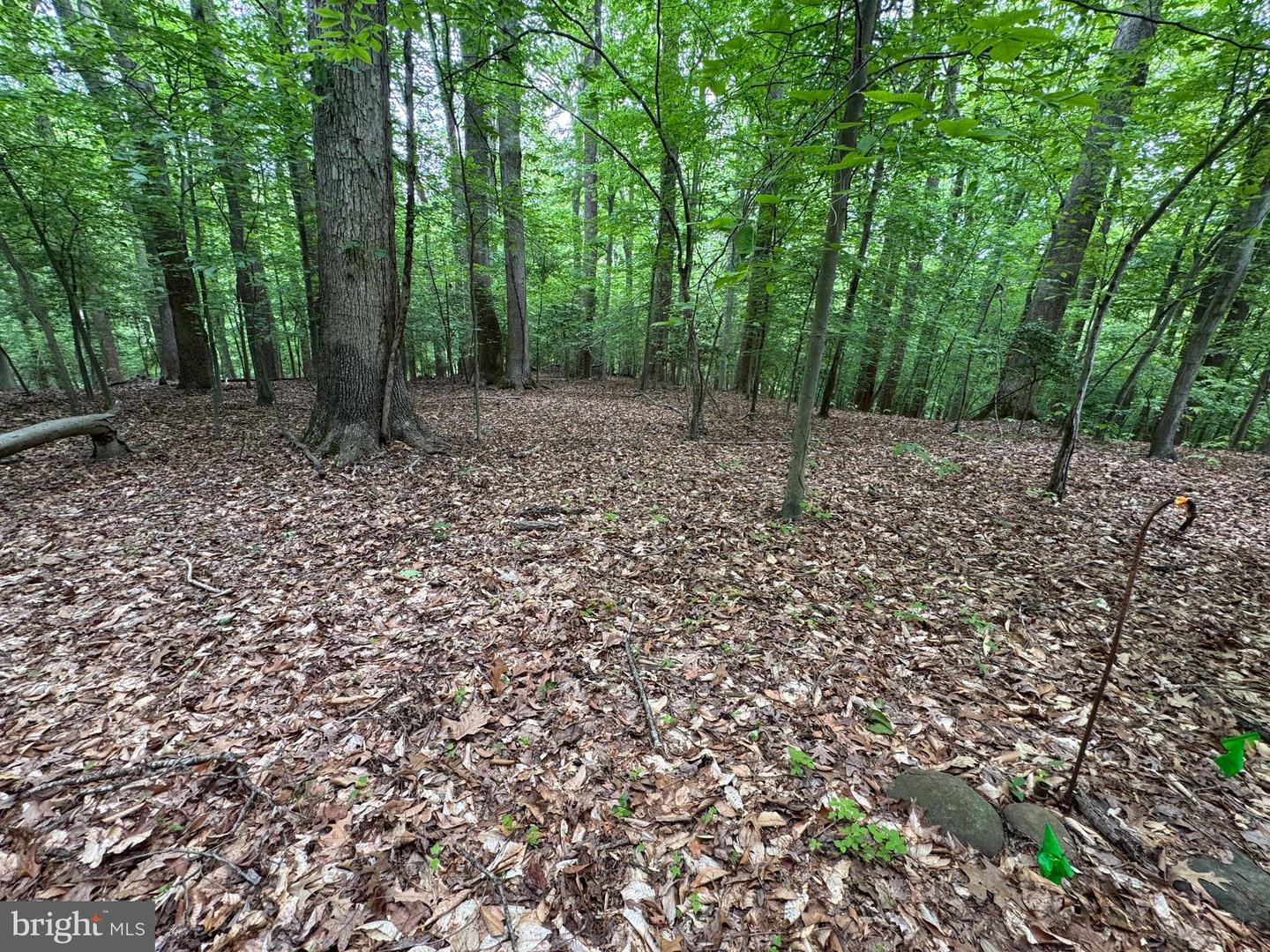 Hidden Valley Rd Property Photo 21