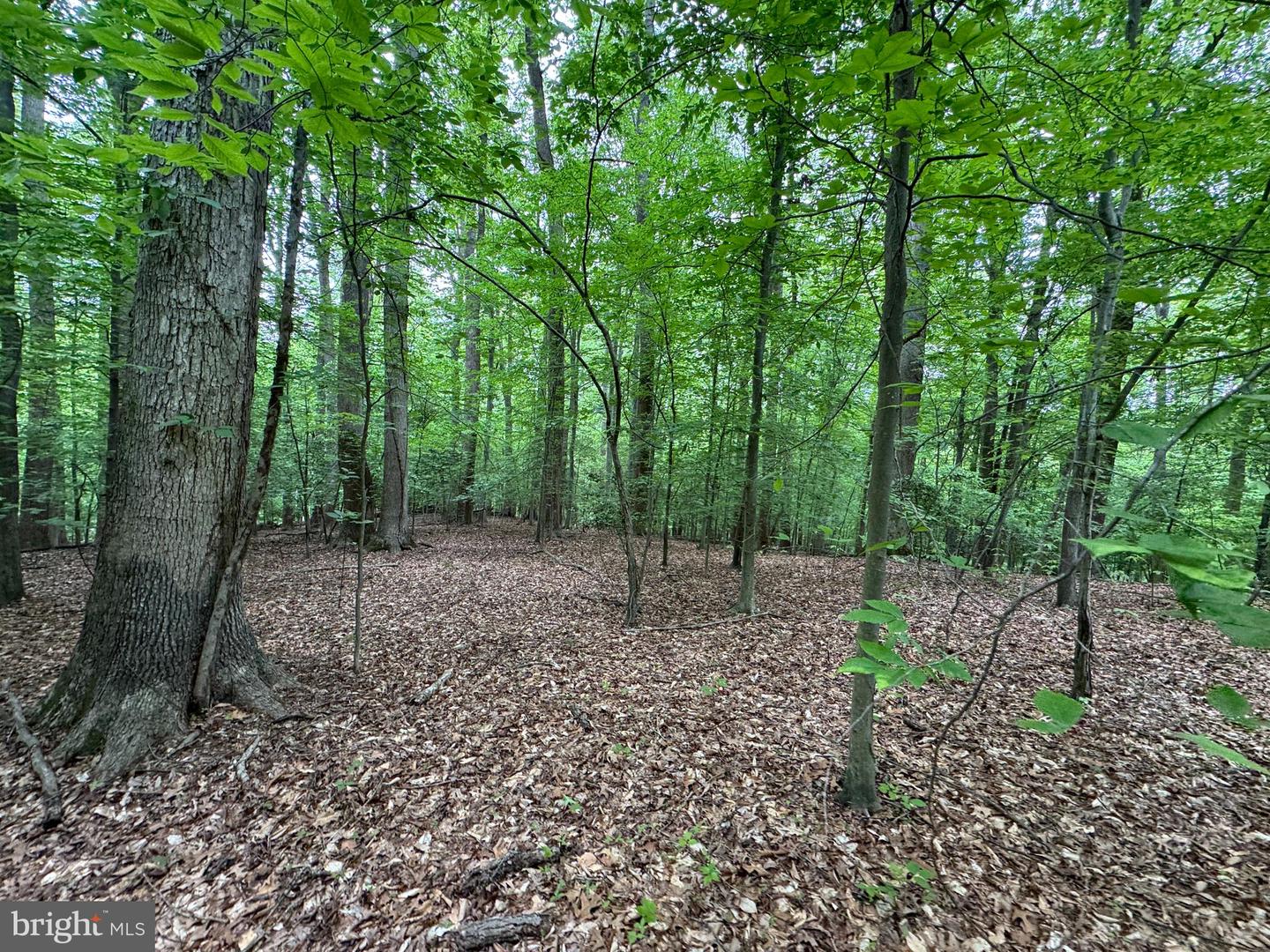 Hidden Valley Rd Property Photo 22