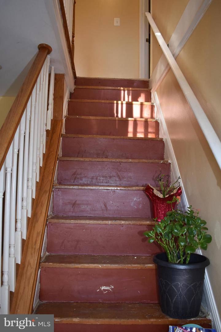 6102 Ruatan Property Photo 9