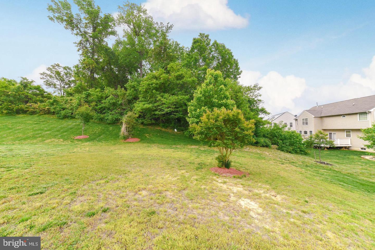 7203 Purple Ash Ct Property Photo 26