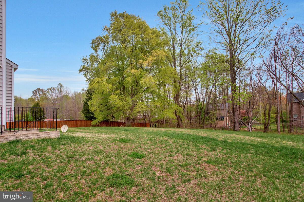 13503 Hollow Log Dr Property Photo 49