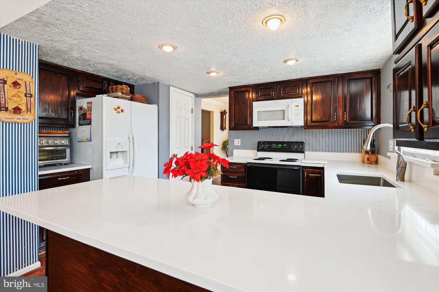 11911 Frost Dr Property Photo 14