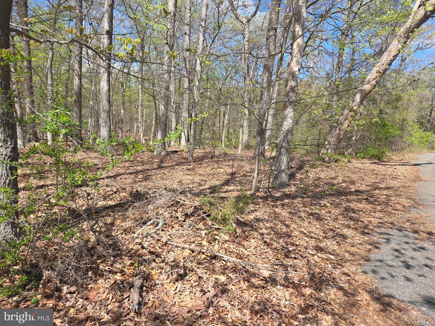 NEWASA LN Property Photo 1