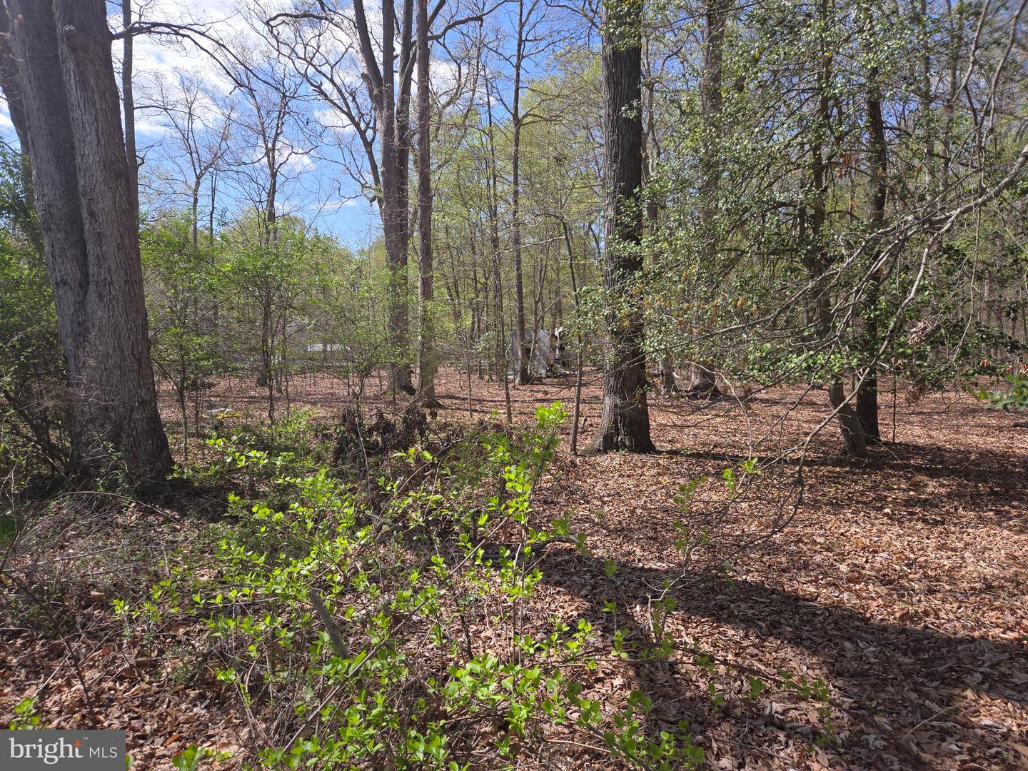 Newasa Ln Property Photo 3