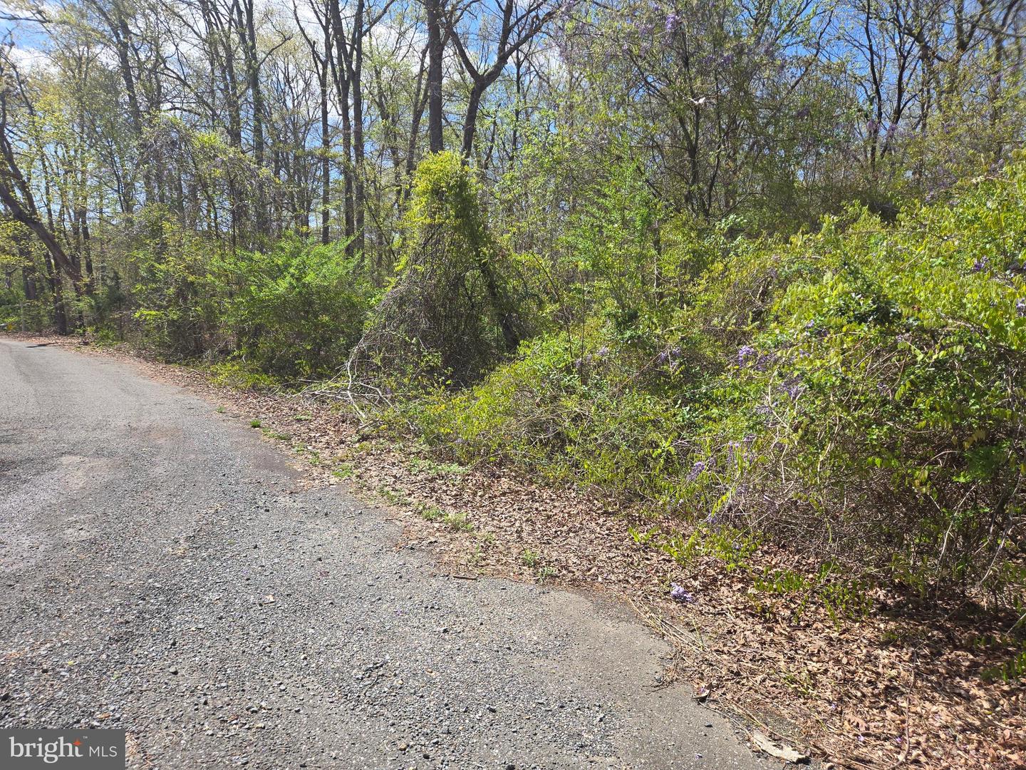 Newasa Ln Property Photo 7