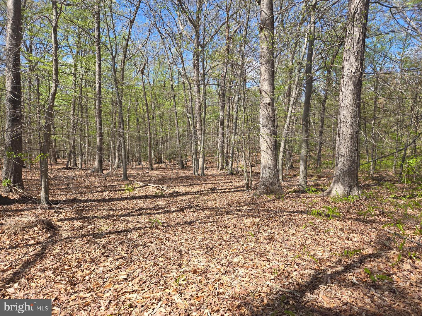 Newasa Ln Property Photo 8
