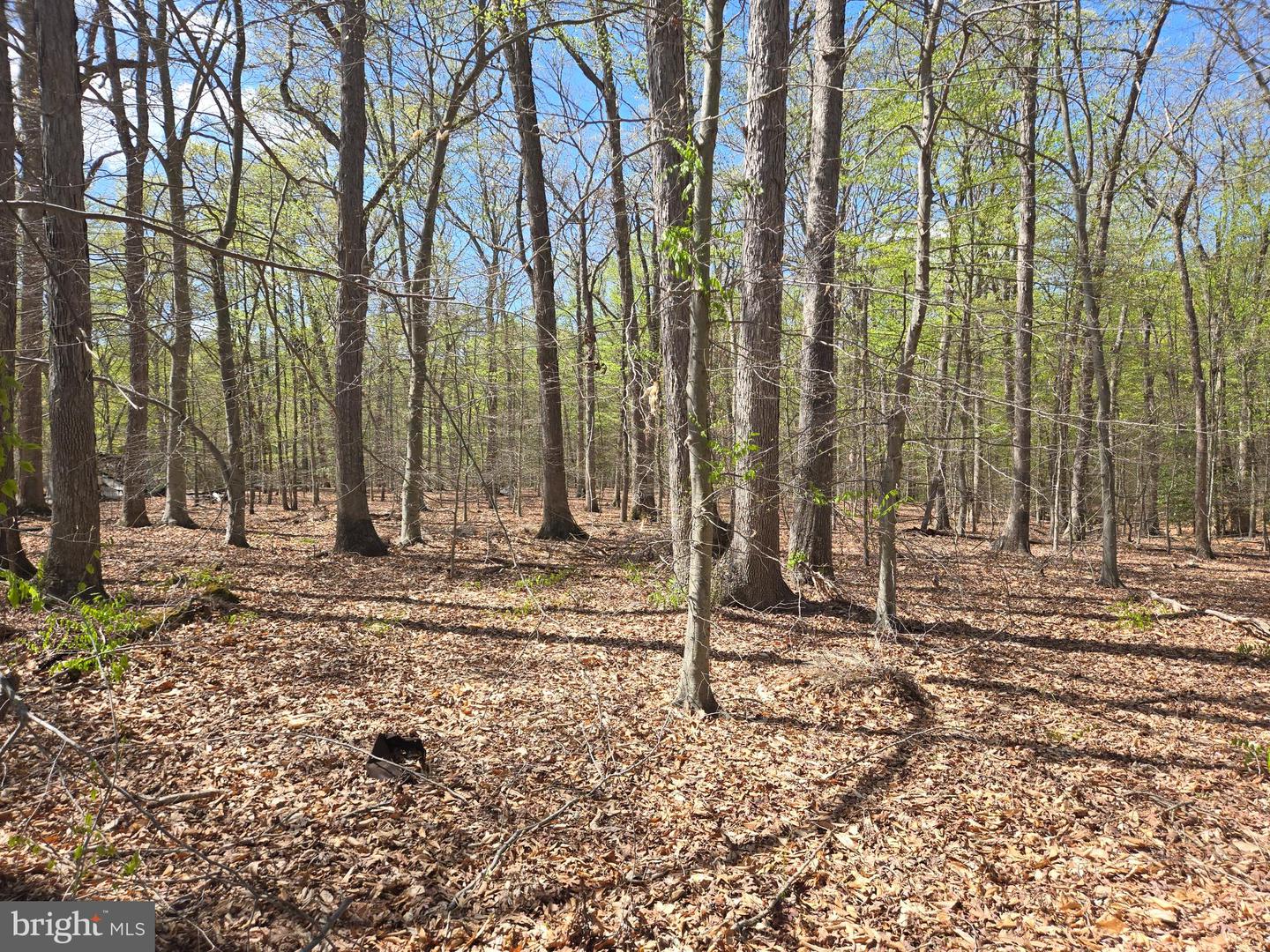 Newasa Ln Property Photo 9