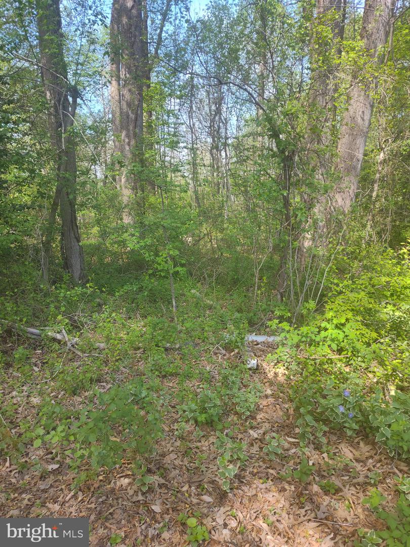 Croom Airport Rd Property Photo 2