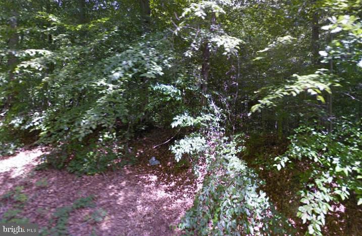 Croom Airport Rd Property Photo 5