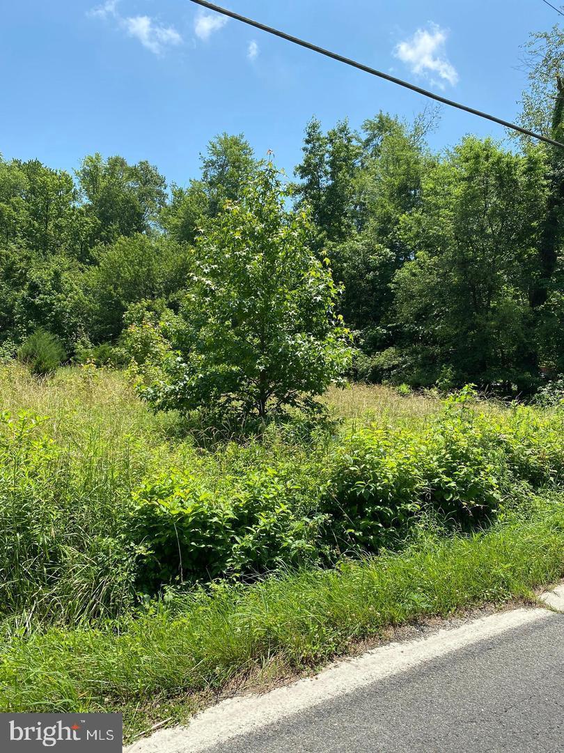 16960 Livingston Road Property Photo 1