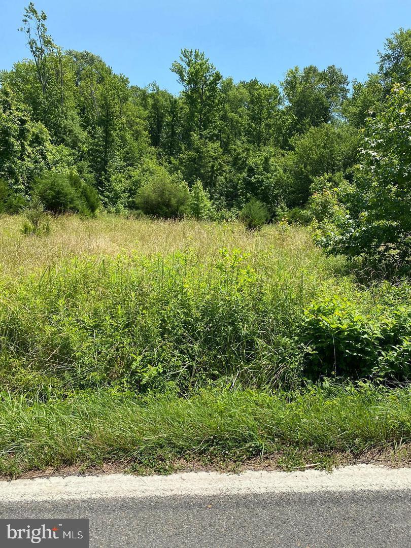 16970 Livingston Road Property Photo 1