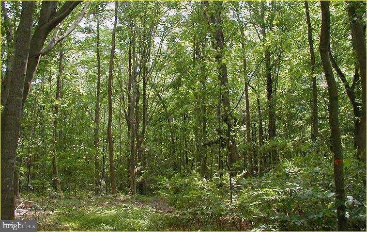 12605 Cedarville Rd Property Photo 3