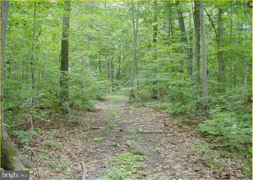 12605 Cedarville Rd Property Photo 5